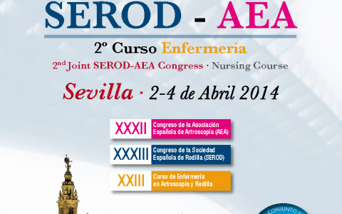<!--:es-->El Dr. Tey, ponente especialista en Artroscopia de cadera en el 2º Congreso Conjunto SEROD-AEA<!--:-->