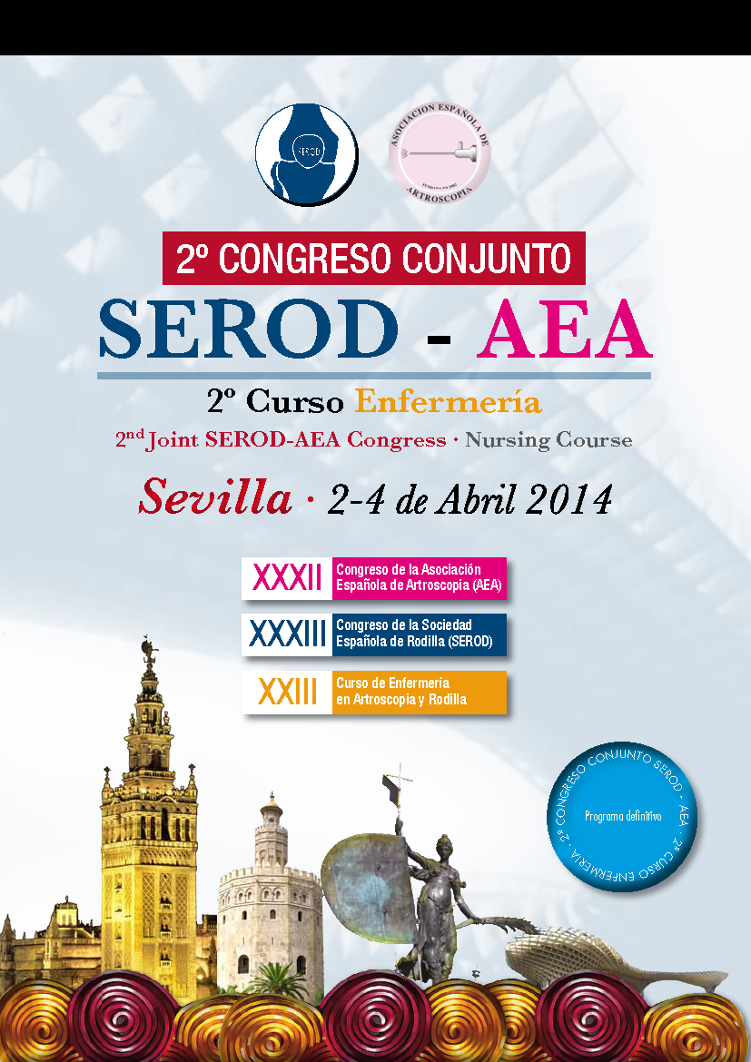 <!--:es-->El Dr. Tey, ponente especialista en Artroscopia de cadera en el 2º Congreso Conjunto SEROD-AEA<!--:-->